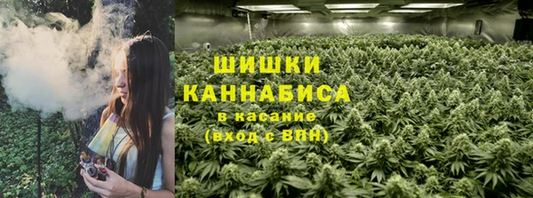 PSILOCYBIN Лихославль