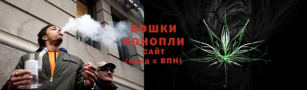 PSILOCYBIN Лихославль