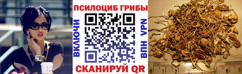 Псилоцибиновые грибы Psilocybe Купить Кореновск
